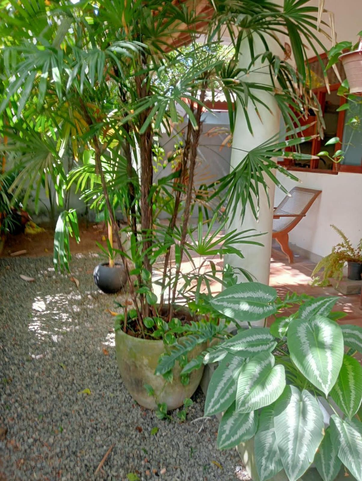 New Villa Unawatuna Luaran gambar